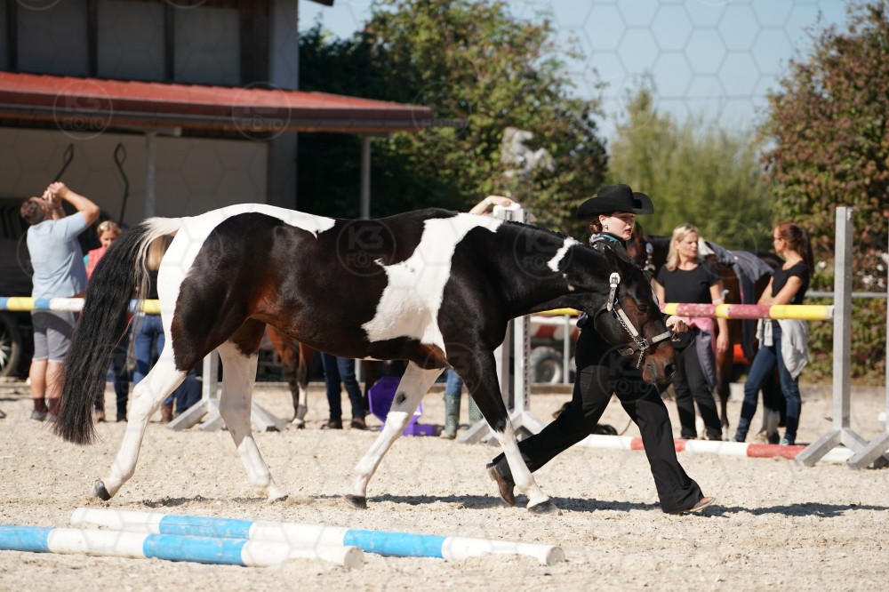 s_A_907530.JPG